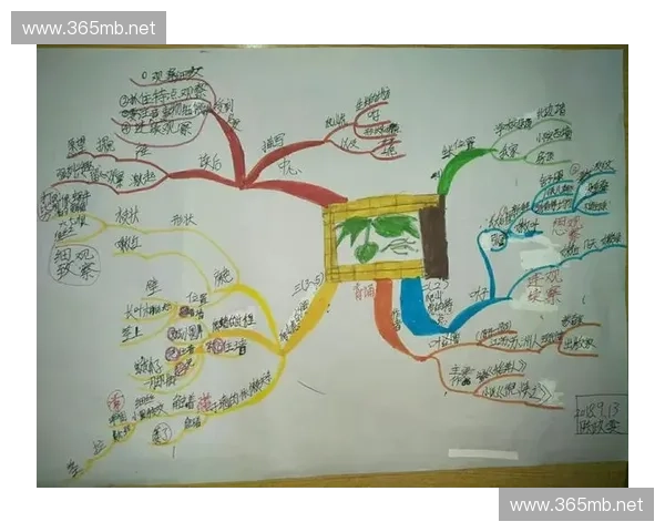 风暴英雄距离与战术布局解析 打破传统思维,提升团队协作效率 风暴英雄距离与战术布局解析 打破传统思维,提升团队协作效率